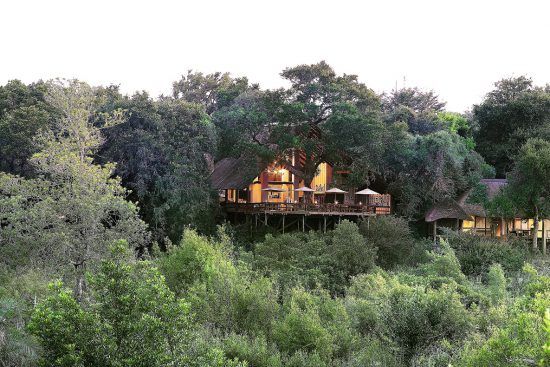 Alojarte en Londolozi es vivir una conexión real con el entorno.