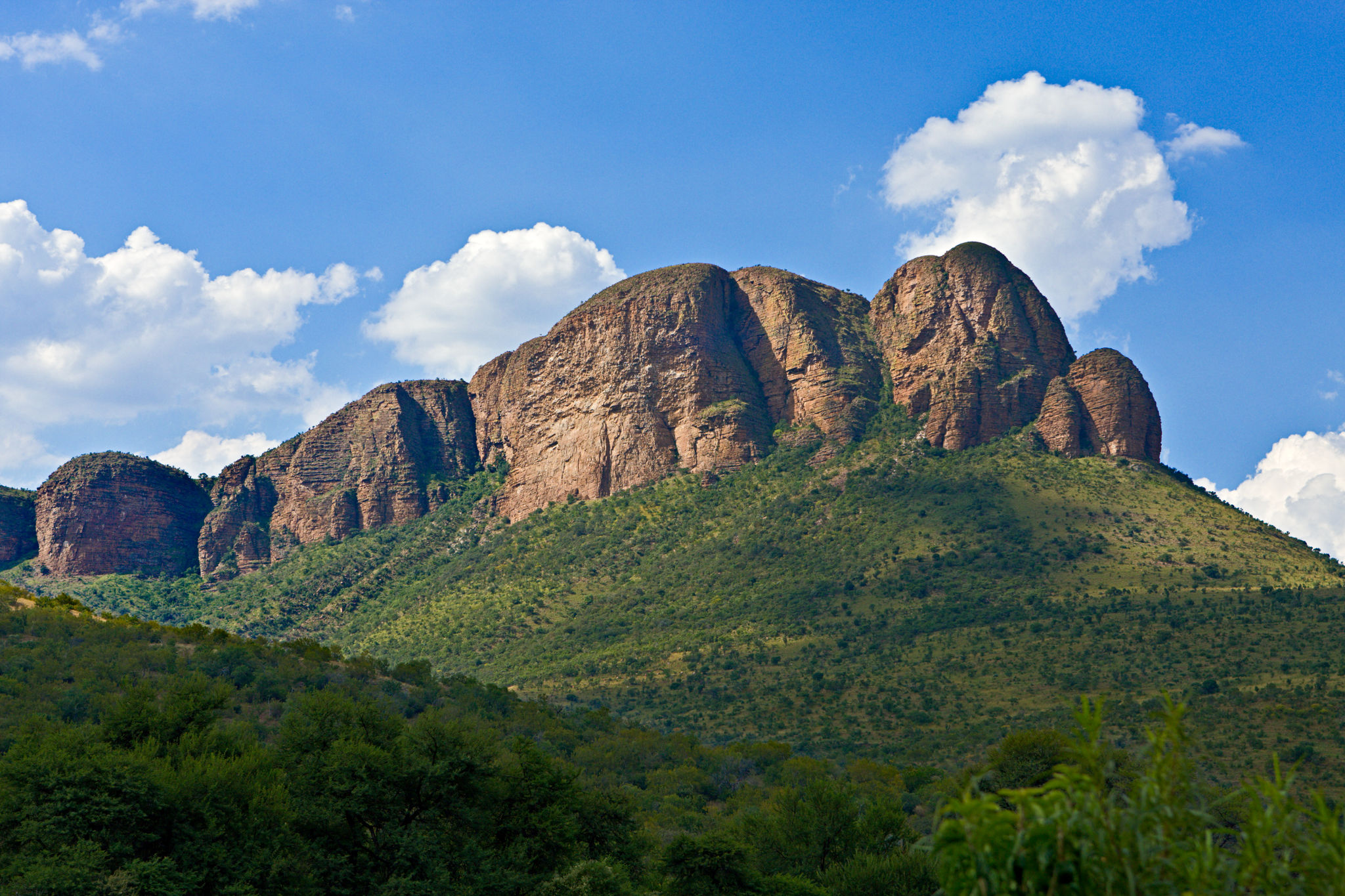 O Parque Nacional Marakele é um destino perfeito para ver os "Big Five" em um safári livre de malária