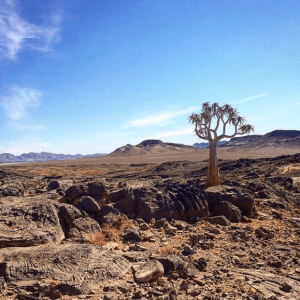 Amanzi-River-Trails-Namibian-Trek Amanzi River Trails on Namibian trek