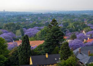 Johannesburg Johannesburg