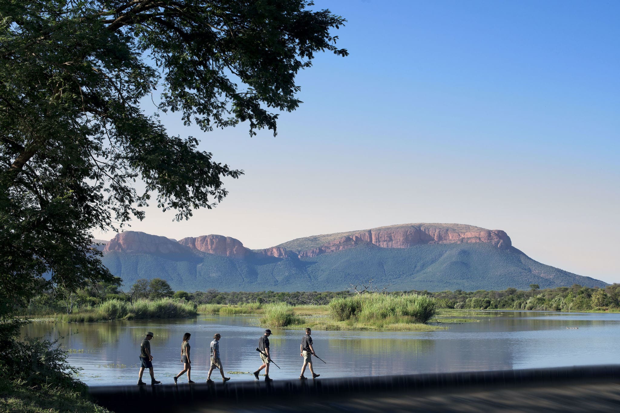 People walking during a walking safari at Marataba Mountain Lodge