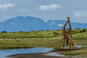 Africa-off-the-Beaten track Africa off the Beaten Track