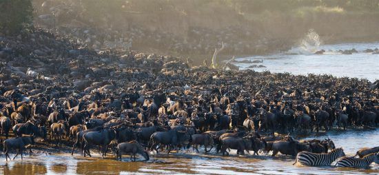 great-migration-tanzania