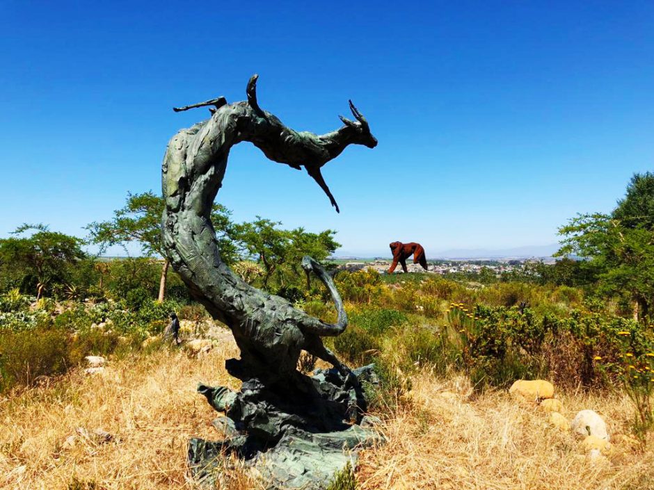 Dylan Lewis Sculpture Garden Stellenbosch Rhino Africa Blog