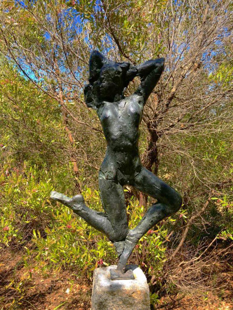 Dylan Lewis Sculpture Garden Stellenbosch Rhino Africa Blog