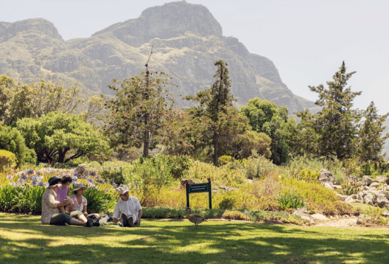 Die romantischsten Aktivitäten in Kapstadt: Ein Picknick im Botanischen Garten Kirstenbosch