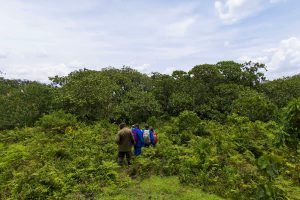 Rwanda Rwanda