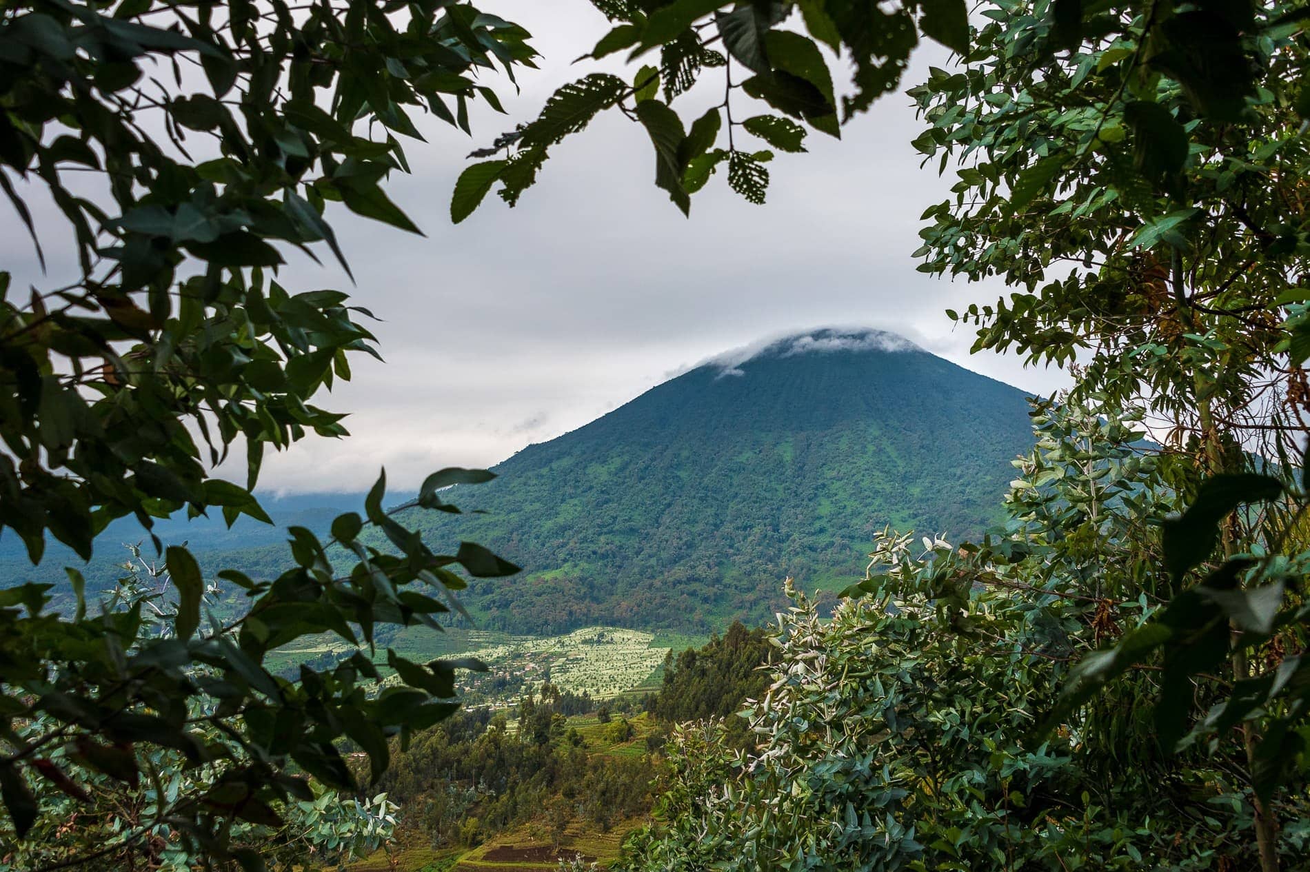 Nachhaltiger Tourismus in Ruanda - Blick auf den Volcanoes Nationalpark