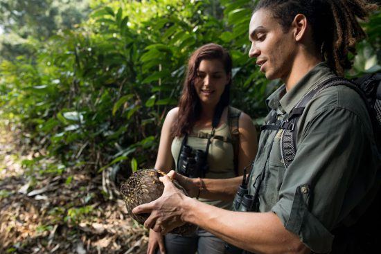 Cada paso y cada descubrimiento en Congo será una auténtica lección de vida.