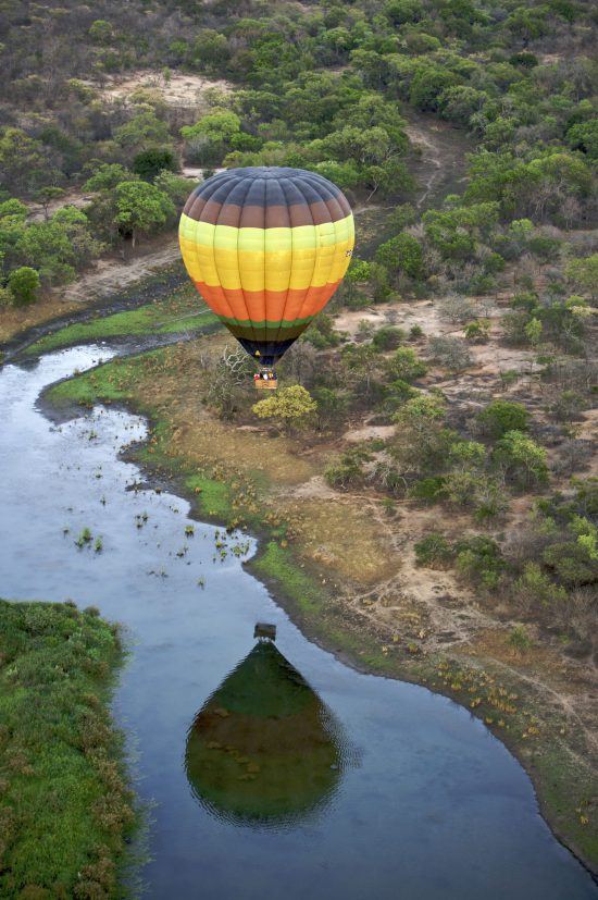 Safari à Kapama | Prenez de la hauteur