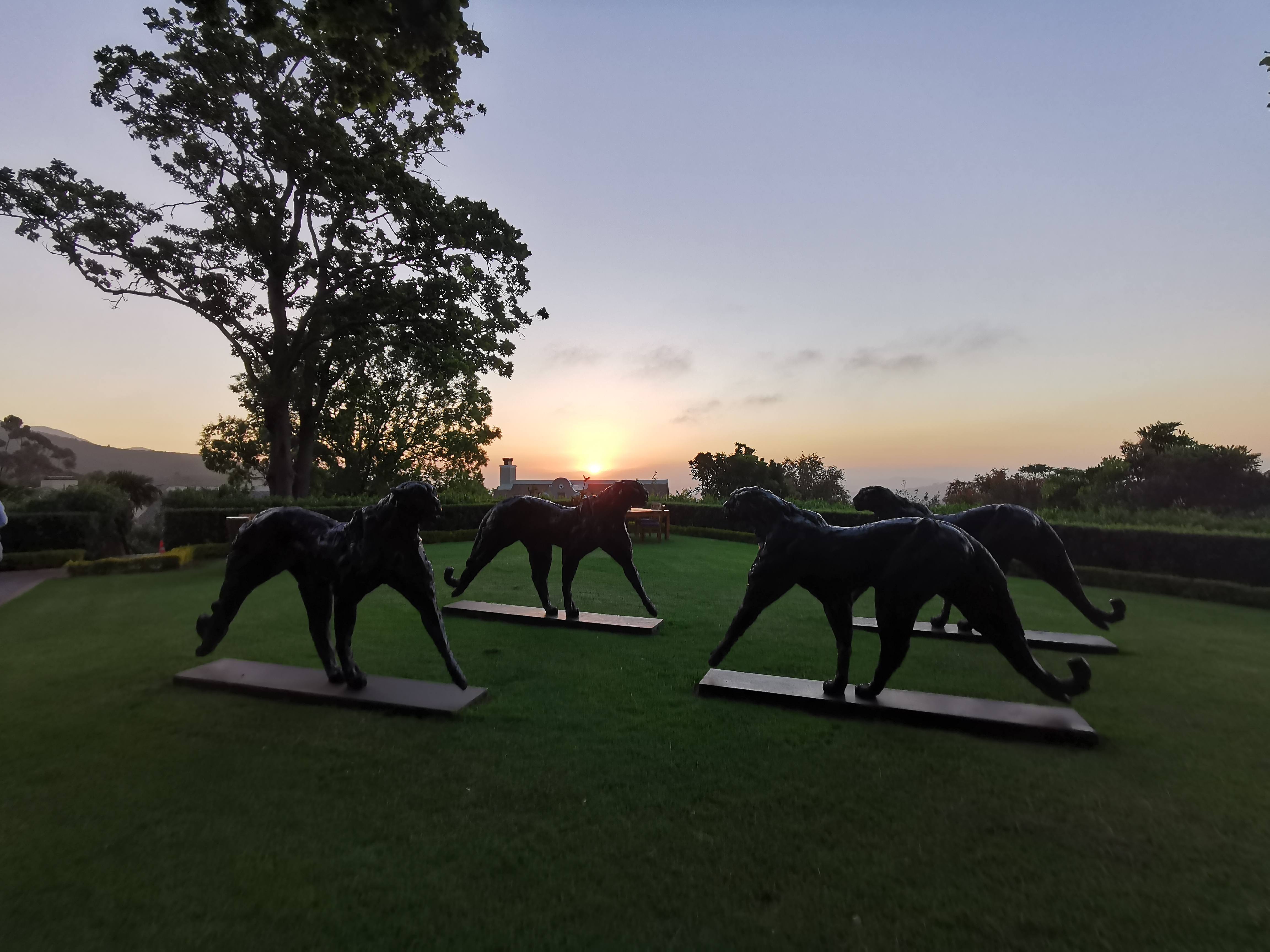 Cheetah statues at the Delaire Graff Estate in the Stellenbosch Vineyards