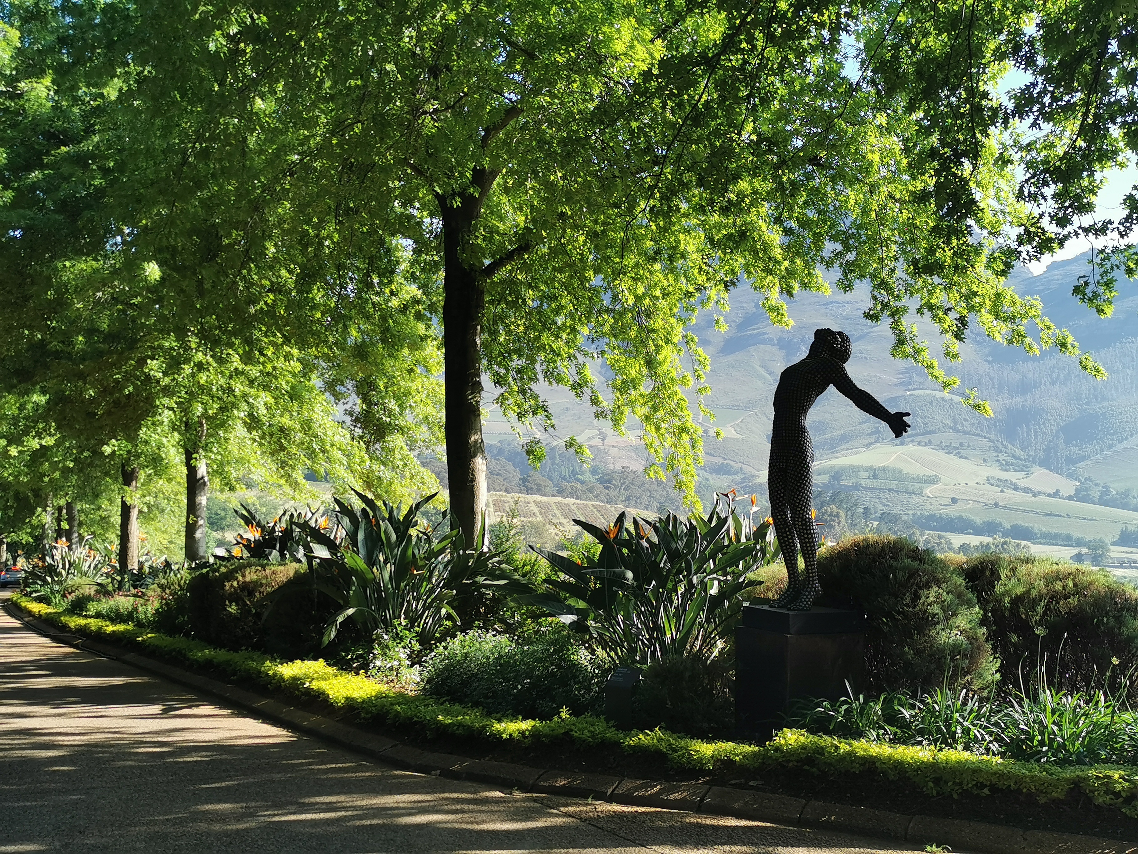 Delaire Graff gardens and sculptures in the Stellenbosch Winelands
