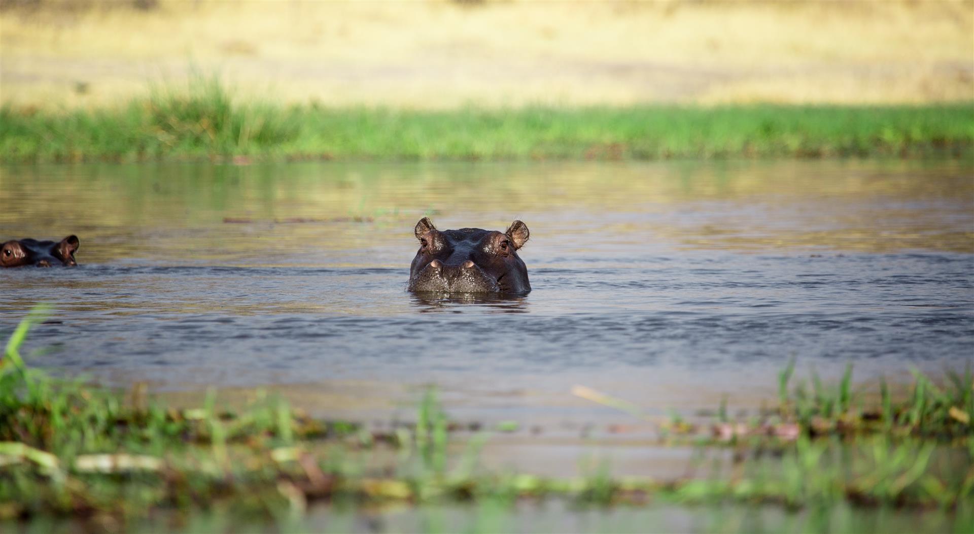 Botswana | Okavango