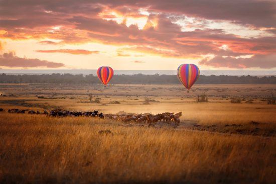 Great Migration in Ostafrika - Zwei Heißluftballons schweben über einer Gnuherde in Afrika