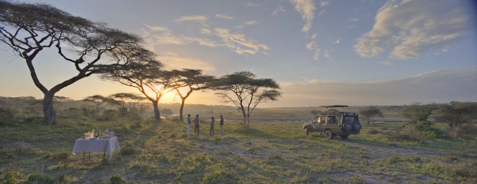 Picknick mit Snacks und Getränken in einer offenen Graslandschaft in Afrika
