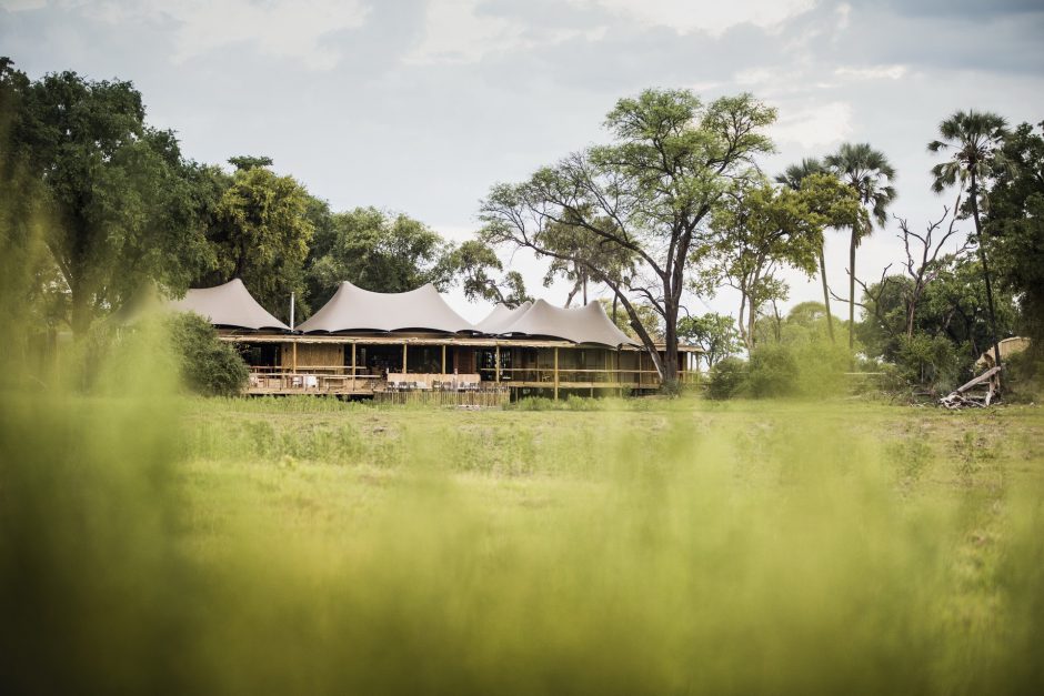 Mombo Camp in the Okavango Delta