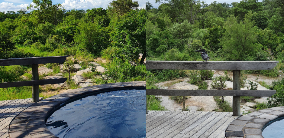 Before and after photos of the view in front of Londolozi Founders Room after a rainstorm