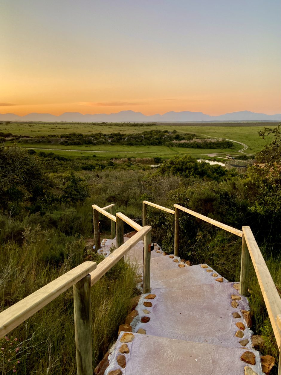 sunset-stairway