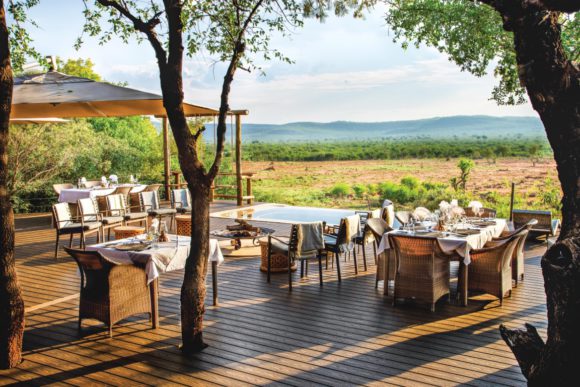 Madikwe Hills Private Game Lodge: On Safari with an Outstanding Guide