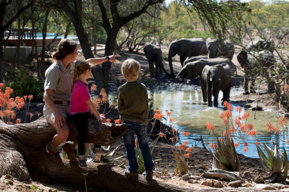 Ngala Safari Lodge, eine der schönsten Familienlodges in der Krüger-Region