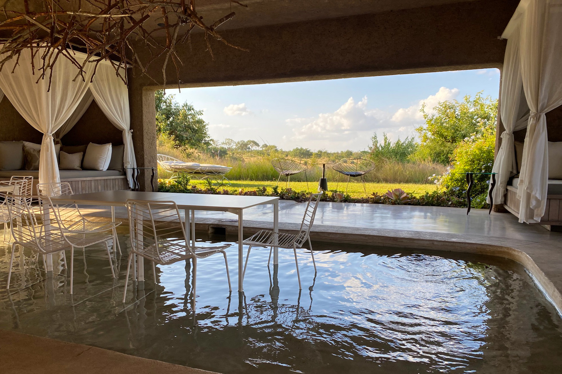 Unwind in the pool at Sabi Sabi Earth Lodge.