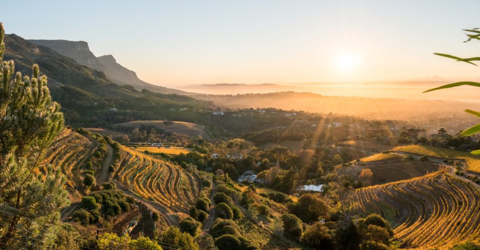 Constantia, l’un des secrets les mieux gardés du Cap