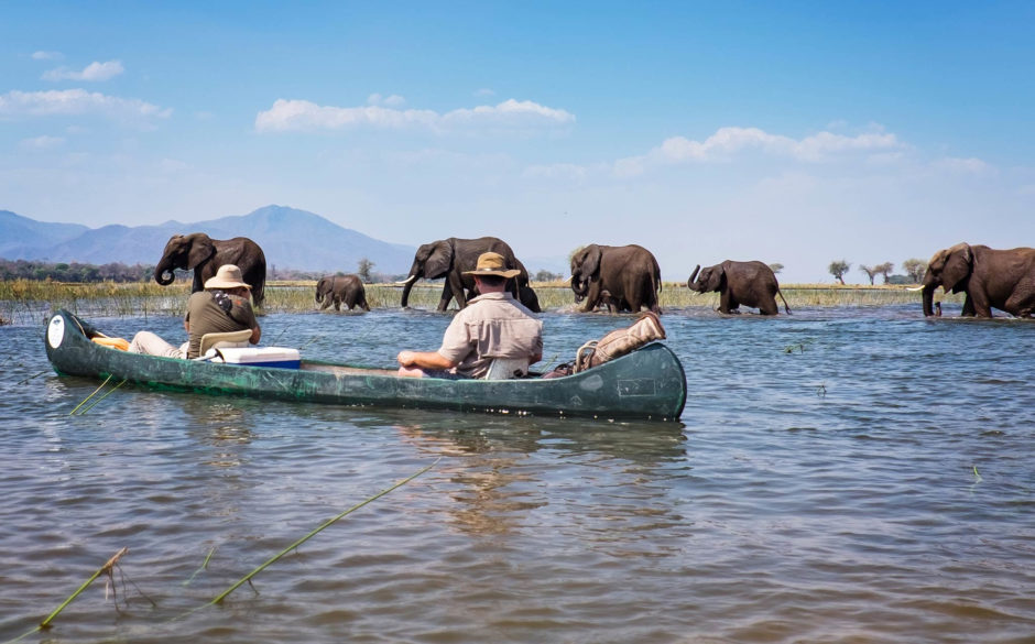 Vida salvaje y cascadas: safari por el sur de África