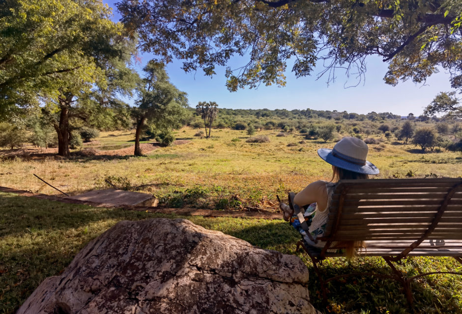 Admiring the view at Stanley & Livingstone