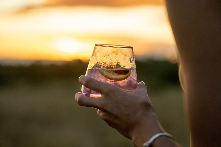 Felix-Studios-Silvan Safari-Apr-2022-234 Gin and tonics are the quine-tessential drink on a safari
