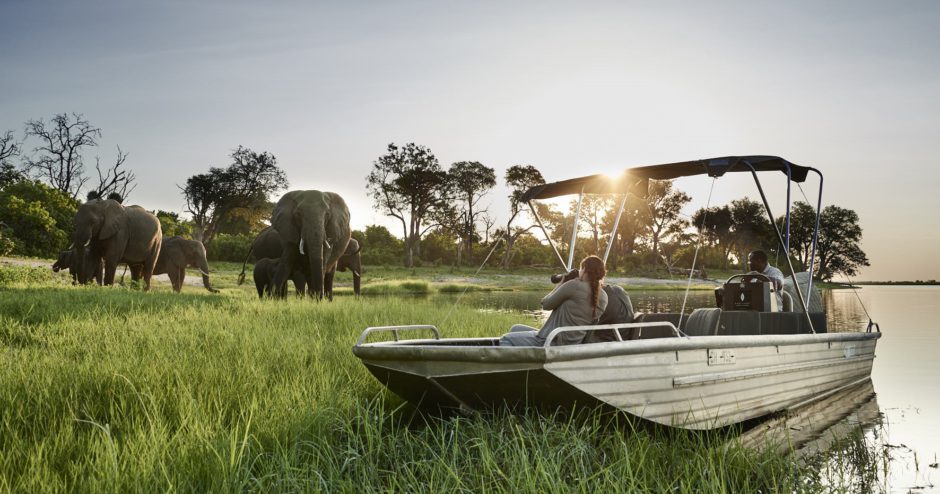 Ihr Safari Guide für den Chobe Nationalpark