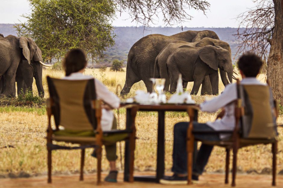 Couple enjoying tea on their viewing deck as elephants walk by