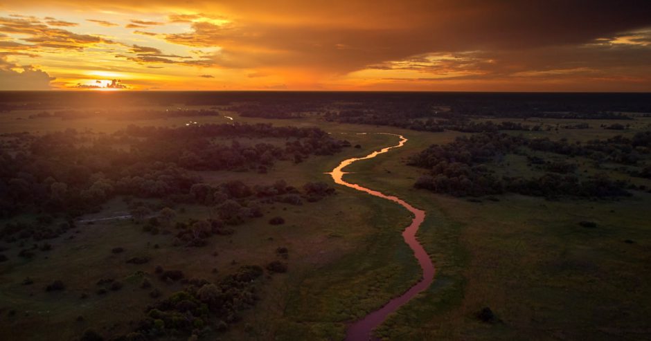 Botswana landscape at sunset