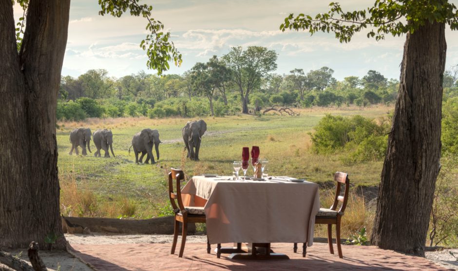 Dining table set for two on the main viewing deck with elephants in the background