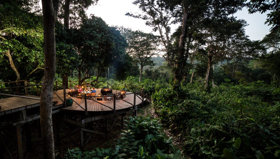 Main viewing deck at a lodge, overlooking a vast expanse of lush forest