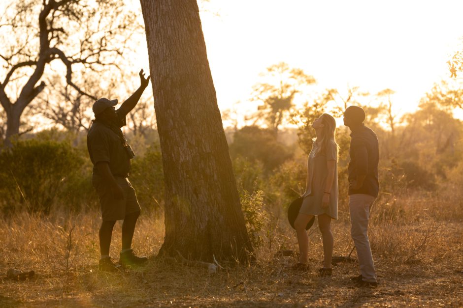 Walking safari at Silvan Safari