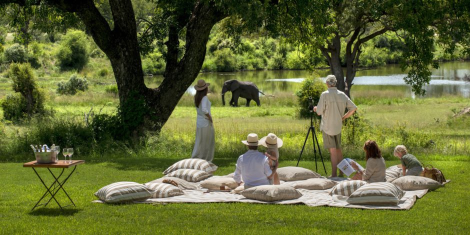 Summer safari in Kruger's Sabi Sand Private Game