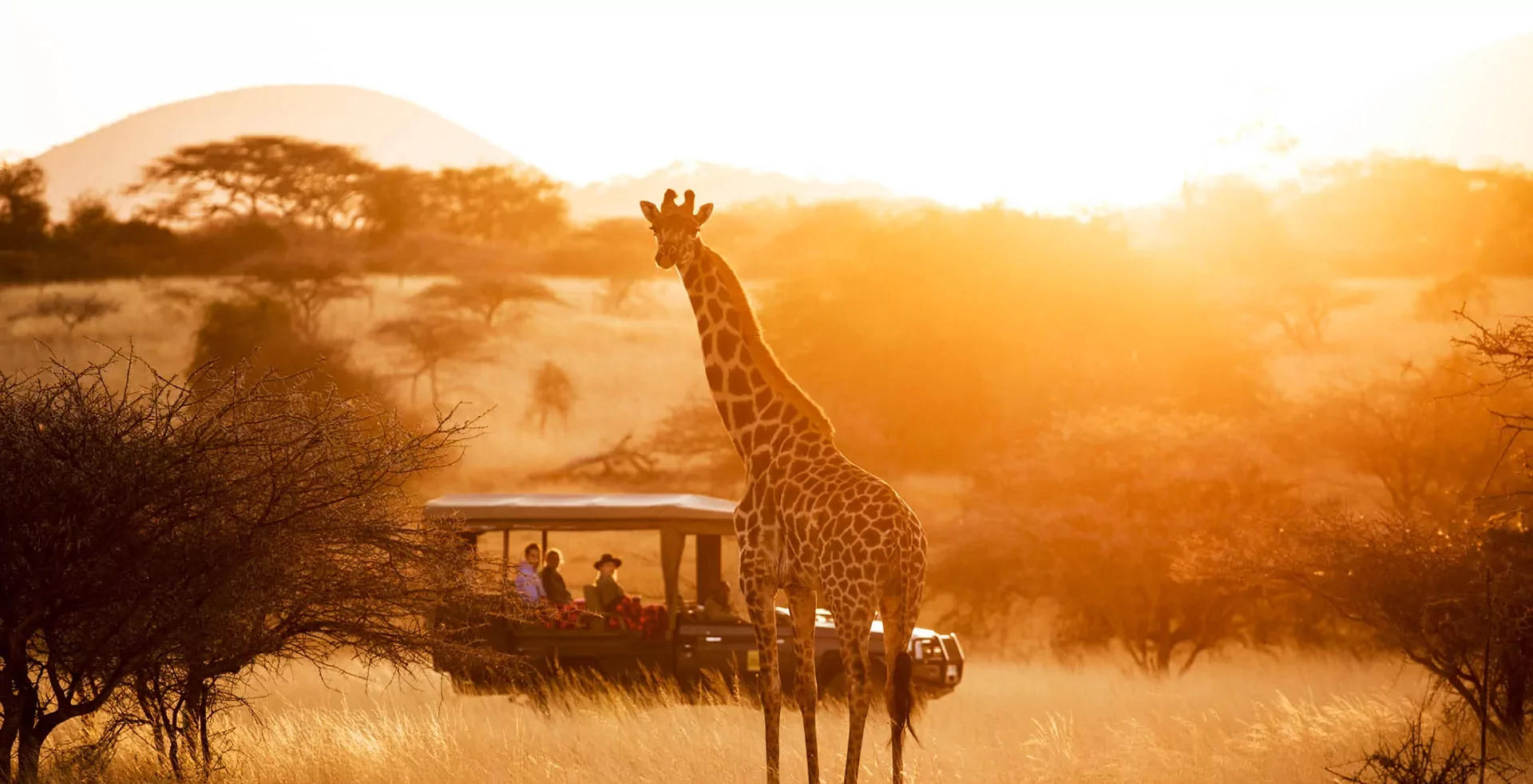 Giraffe und Pirschfahrzeug nahe der Ol Donyo Lodge in Kenia