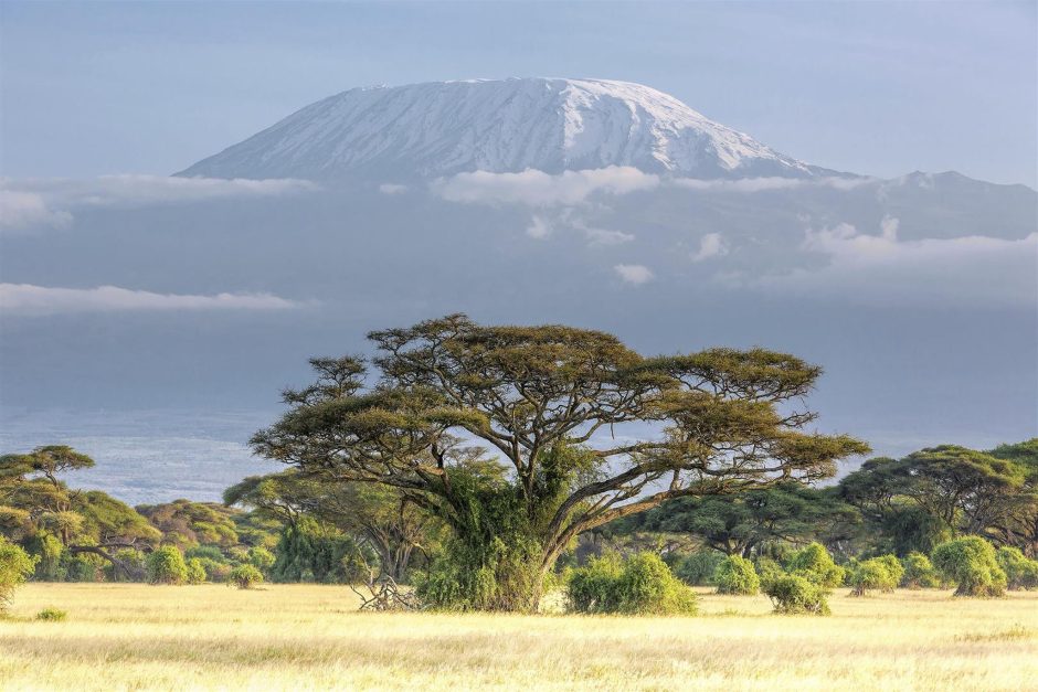 Der schneebedeckte Kilimandscharo - Tansania-Urlaub: Safari und Baden auf einer Reise