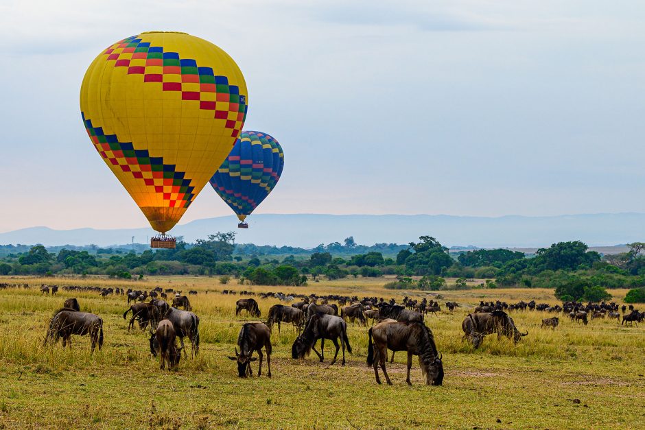 Wir verraten Ihnen die beste Reisezeit für eine Safari in Kenia - schweben Sie in einem Heißluftballon über die Savanne