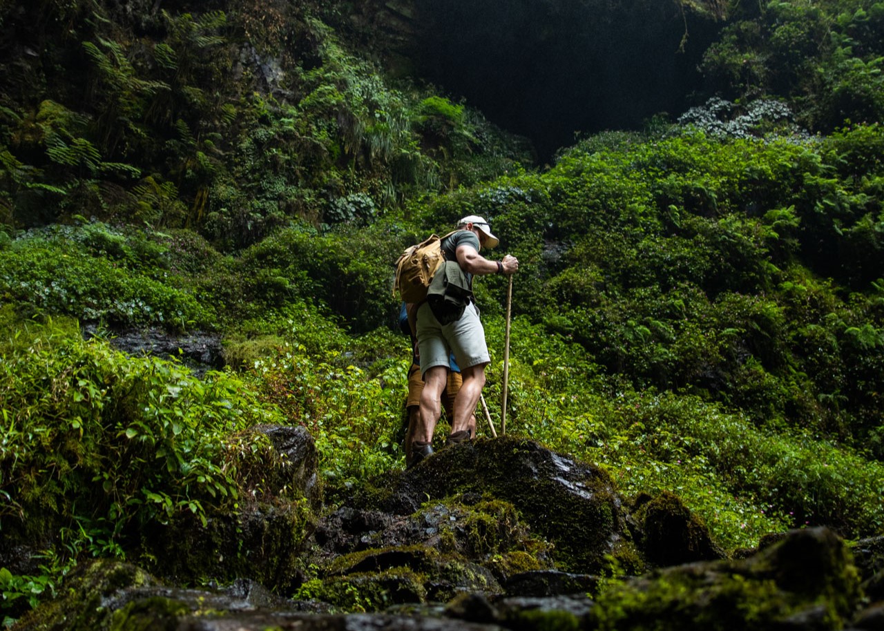 A hiker walks the forests of Nyungwe Forest National Park in Rwanda