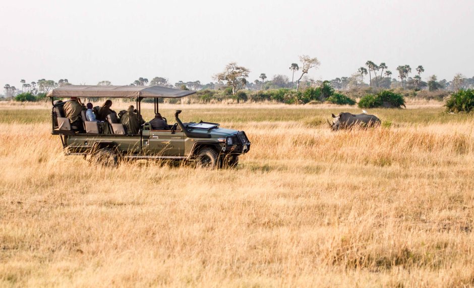 Las Principales Tendencias en los Safaris de Lujo Africano para 2025