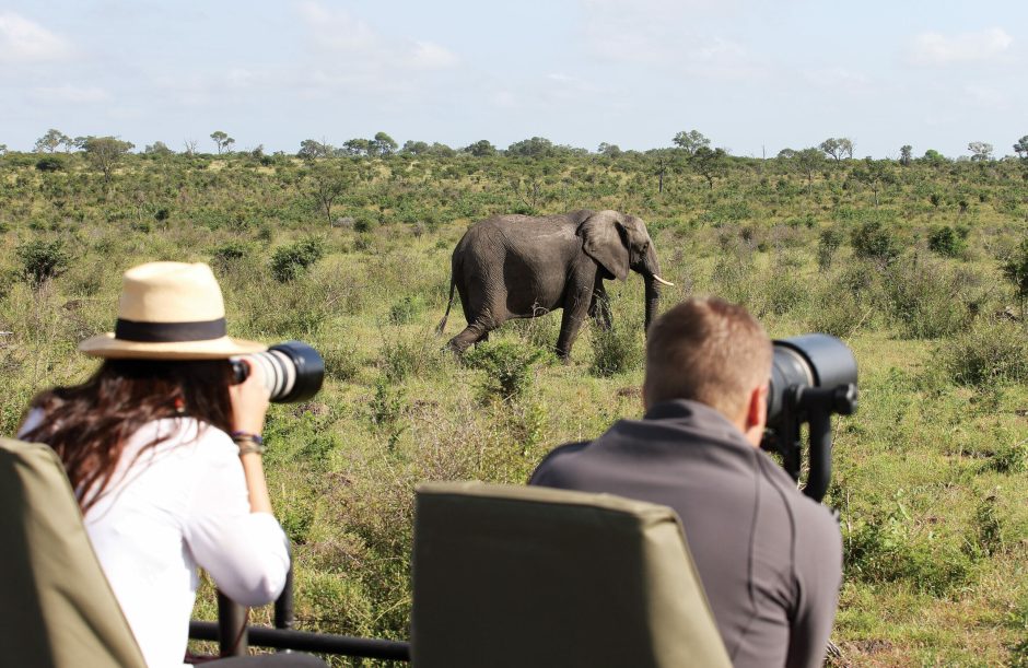 Game drive photography of elephants at Londolozi