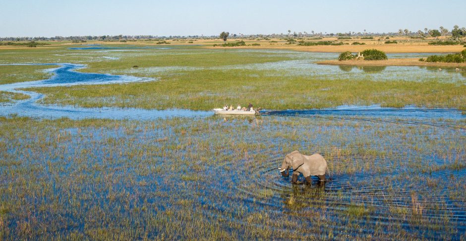 An elephant wades through the shallow, glistening waters of the Okavango Delta, while a small boat carrying safari-goers cruises past in the distance.