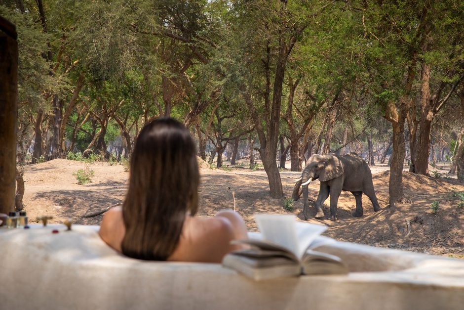 A woman relaxes in an outdoor bathtub with an open book, enjoying a serene view of an elephant wandering through the bush. 