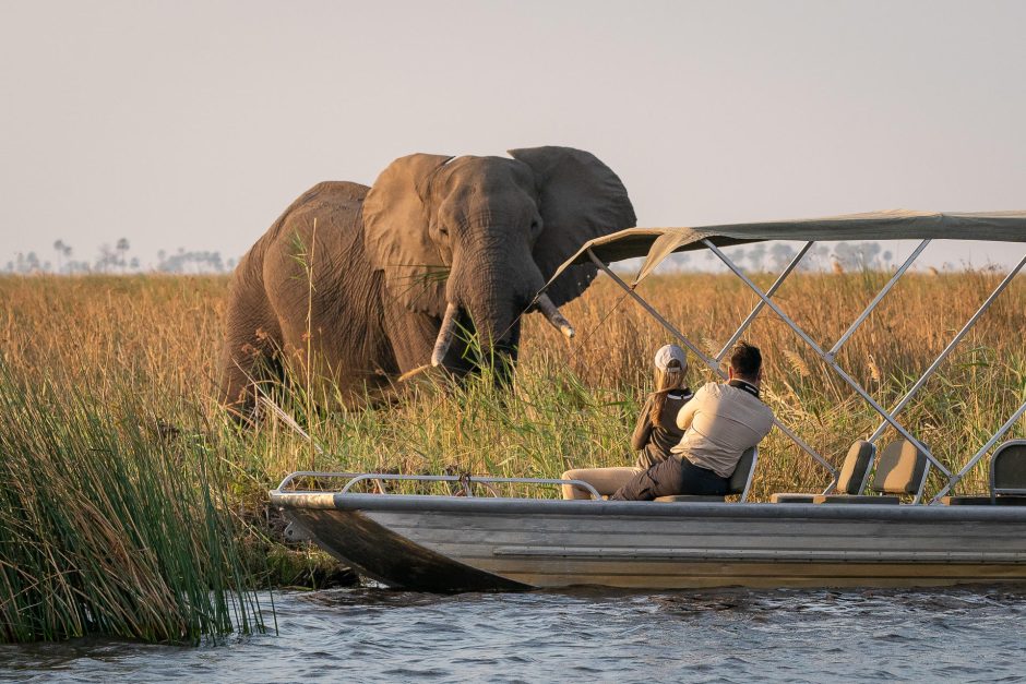 Ein großer Elefant beschert Urlaubern im Boot fantastische Fotomotive
