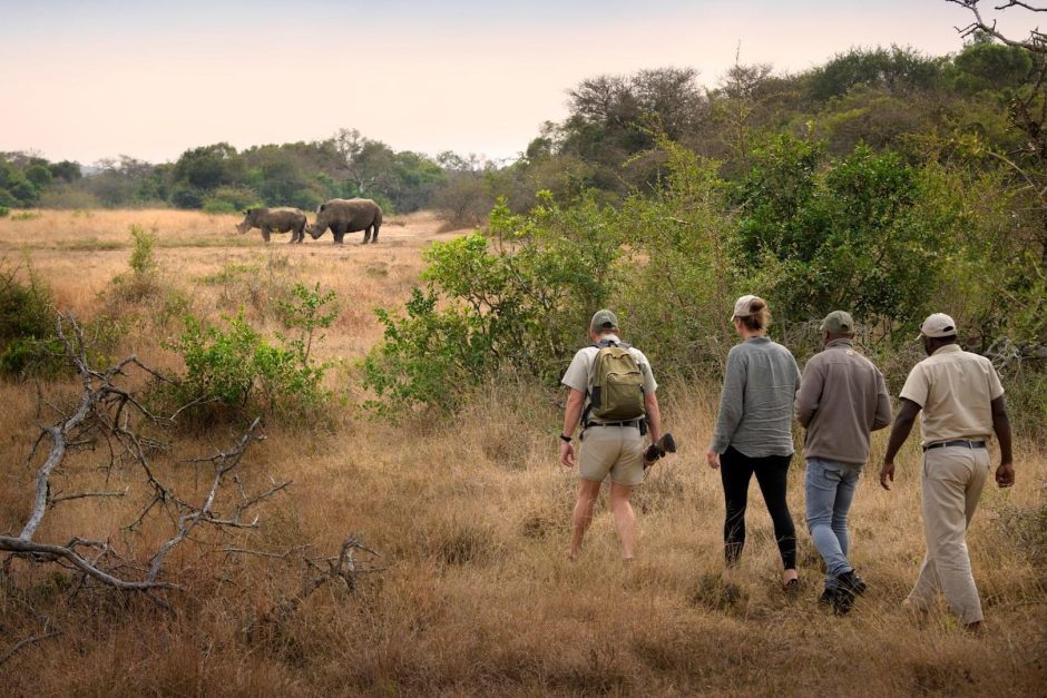 south-africa-phinda-private-game-reserve-game-walk_8 Eine Buschwanderung durch das Phinda Reservat - ein Highlight auf Safari in KwaZulu-Natal