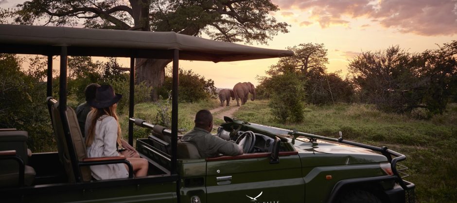 Image Credit: Victoria Falls River Lodge