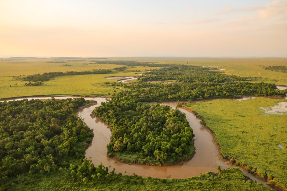 Beste Reisezeit für Kenia: Während der Regenzeit verwandelt sich die Masai Mara in ein grünes Naturparadies