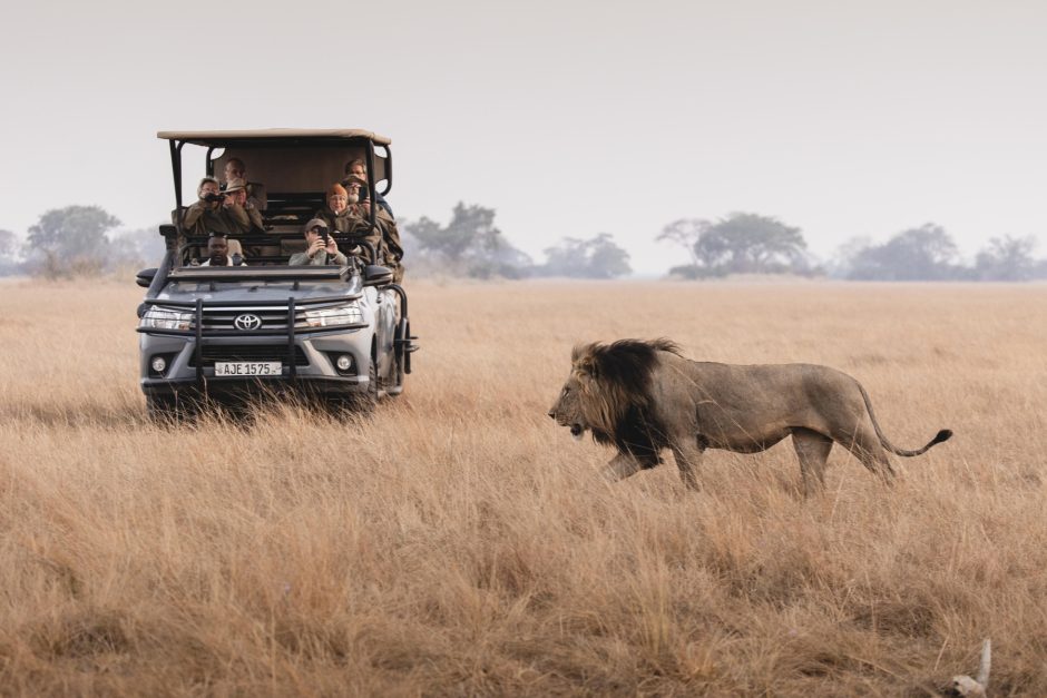 Wir verraten Ihnen die beste Reisezeit für Sambia, um eine Safari im Kafue Nationalpark zu erleben