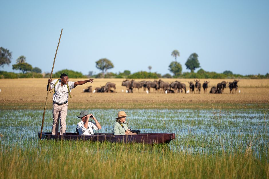 A guide stands and points from a traditional mokoro canoe while two guests observe a herd of buffalo in the distance across the Okavango Delta wetlands. A guide stands and points from a traditional mokoro canoe while two guests observe a herd of buffalo in the distance across the Okavango Delta wetlands.